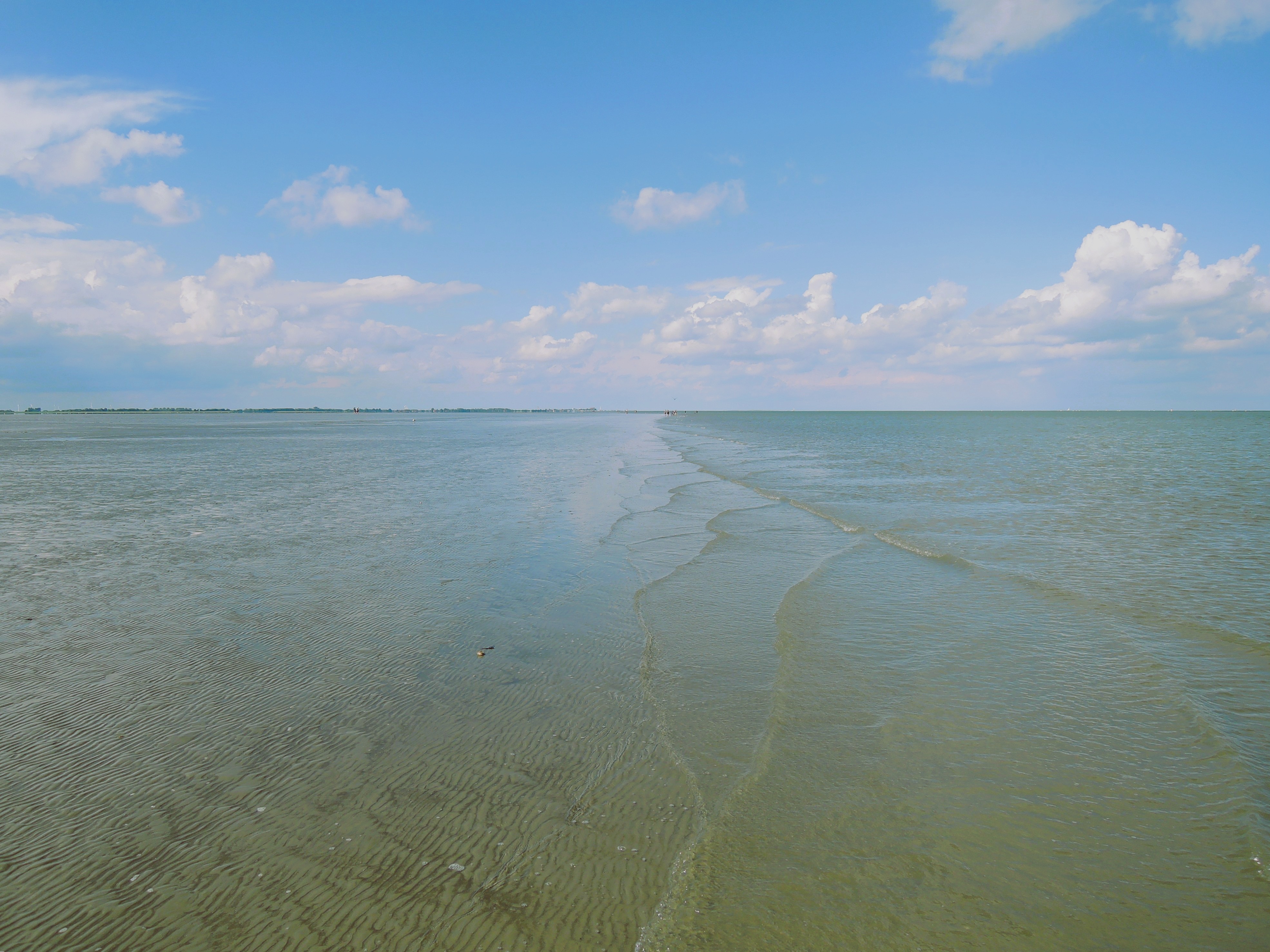 Psychotherapie Veränderung Anpassung Nordsee Watt